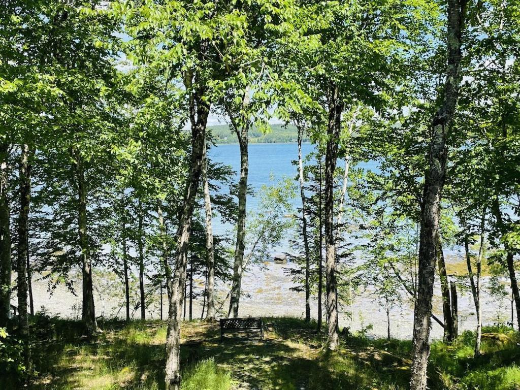 Chalet With A Private Beach In Acadia National Park Bar Harbor Eksteriør bilde